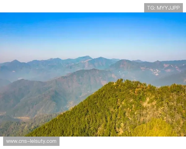2025中国诗歌之乡山径赛在宿松开跑 五百跑友畅游千年白崖寨诗意山水