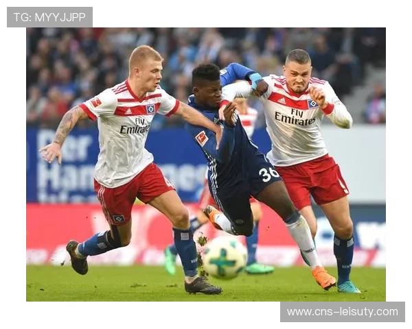 德甲冬季比赛天气影响，场地维护团队应对挑战