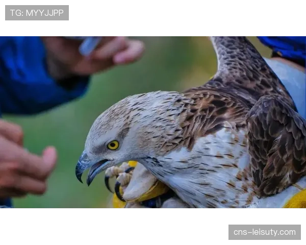 镜头捕捉:兰斯球员在热身中加练特定套边的传中战术